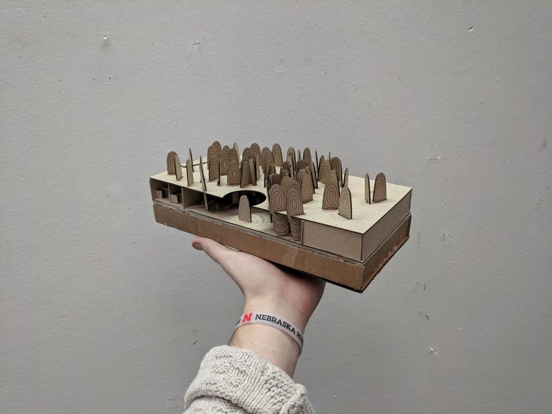 Tree Ring Forest — Study Model
