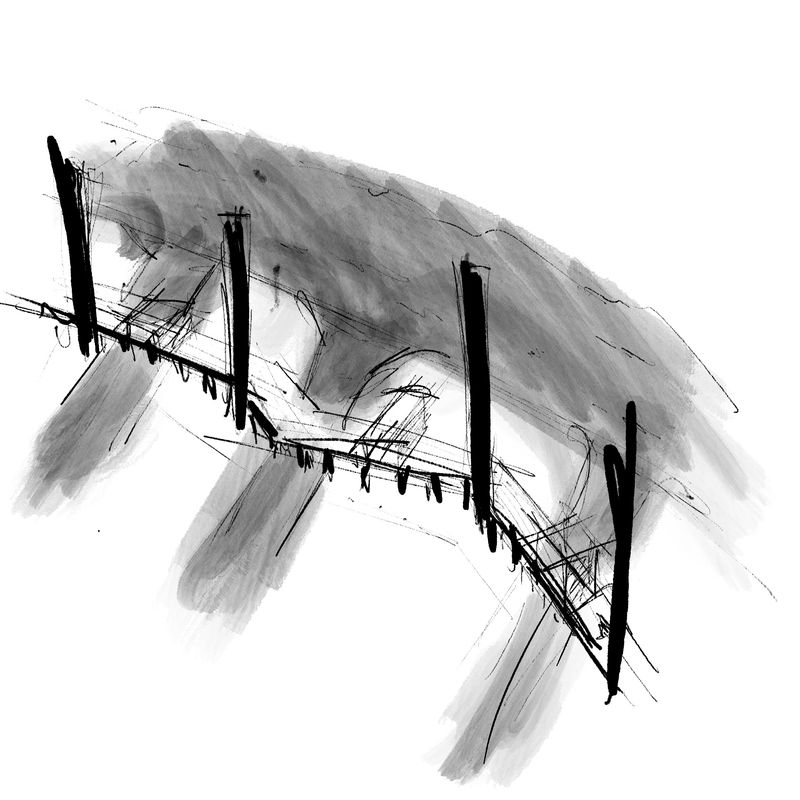 Canopy Structure Study
