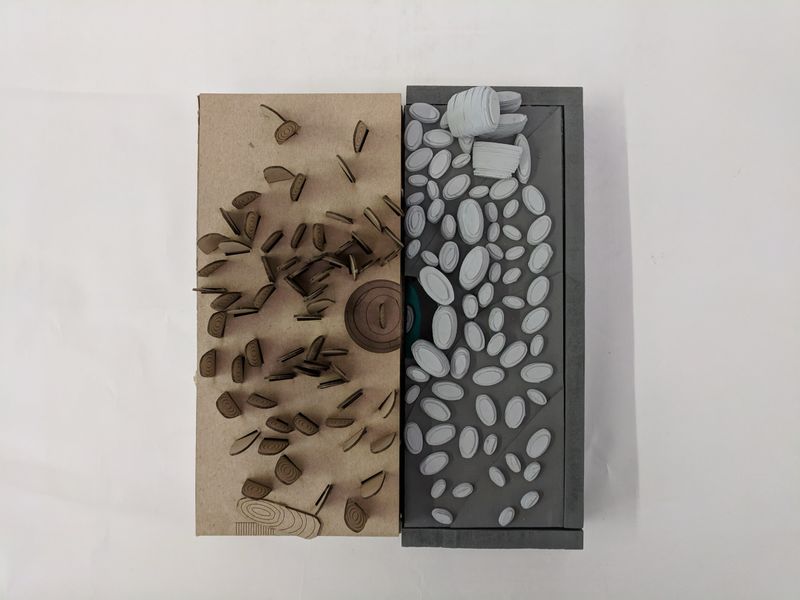 Tree Ring Forest — Painted Model 2