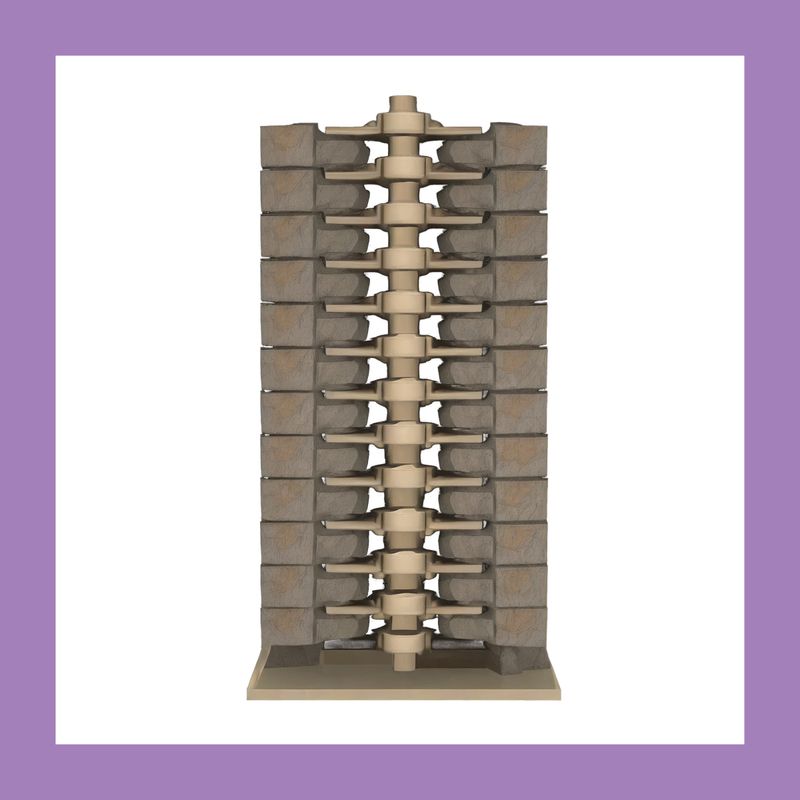 Vertebrae Structural Study