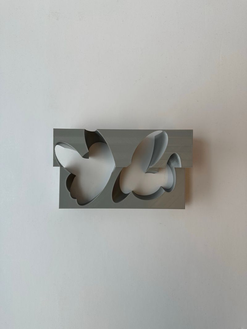 3D Printed Butterfly Relief