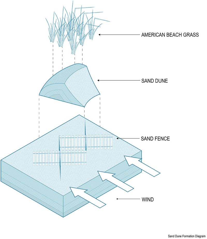 Sand Dune Formation Diagram