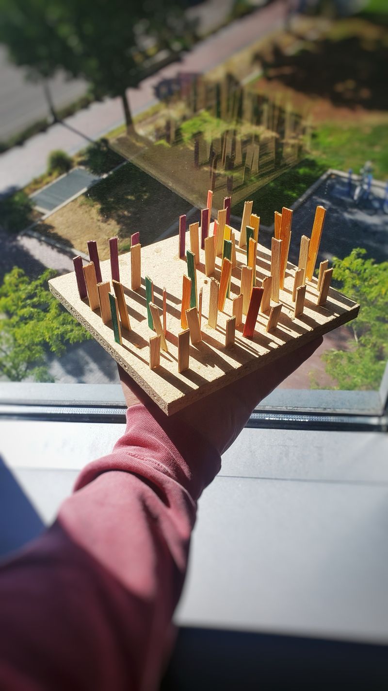 Study Model